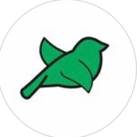 Sud, o pássaro verde