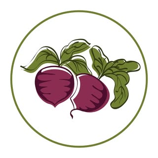 Vegan Vegan